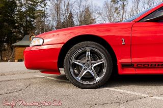 1997 Ford Mustang Cobra 1FALP47V0VF101681 in Lenoir City, TN 4