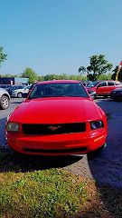 2005 Ford Mustang  1ZVFT80N555198089 in Leesburg, VA