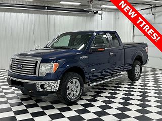 2011 Ford F-150 XLT 1FTFX1ET4BFD30769 in Rochester, MN 1