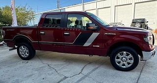 2013 Ford F-150 XLT 1FTFW1CT6DFC39057 in Tampa, FL 13