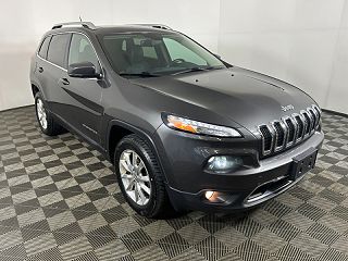 2014 Jeep Cherokee Limited Edition 1C4PJMDS1EW167907 in Akron, OH 6