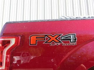 2015 Ford F-150 XLT 1FTEW1EG8FFB38780 in Gainesville, FL 8