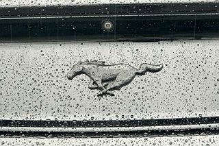 2015 Ford Mustang  1FA6P8TH9F5412683 in Richmond, CA 26