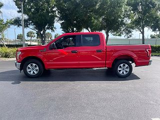 2017 Ford F-150 XLT 1FTEW1CG8HKD45750 in Fort Myers, FL 8