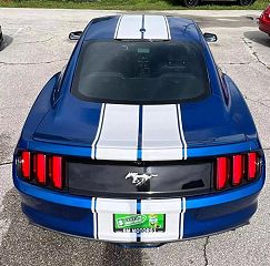 2017 Ford Mustang  1FA6P8TH3H5257924 in Orlando, FL 5