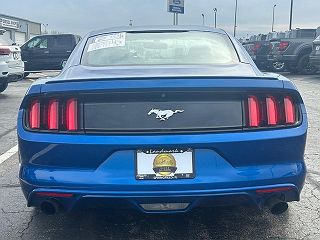 2017 Ford Mustang  1FA6P8TH0H5329372 in Springfield, IL 4