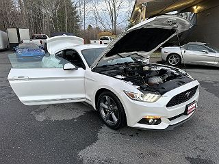 2017 Ford Mustang  1FA6P8TH2H5221089 in Waterville, ME 33