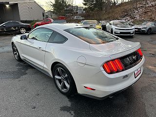 2017 Ford Mustang  1FA6P8TH2H5221089 in Waterville, ME 5