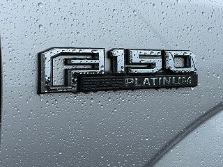 2019 Ford F-150 Platinum 1FTEW1E40KFB11122 in Shelby, NC 31