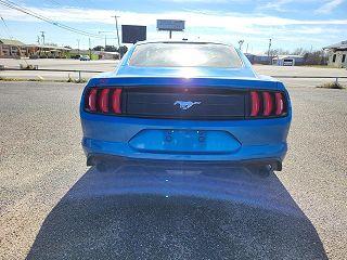 2019 Ford Mustang  1FA6P8TH3K5130310 in Beeville, TX 4