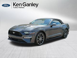 2019 Ford Mustang  VIN: 1FATP8UH6K5151301
