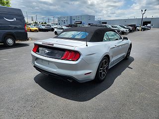 2019 Ford Mustang  1FATP8UH3K5170033 in Cookeville, TN 8