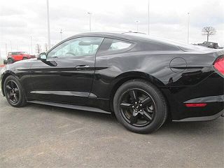 2019 Ford Mustang  1FA6P8TH1K5114686 in Fayetteville, AR 15