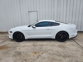 2019 Ford Mustang  1FA6P8TH0K5150613 in Livingston, TX 2