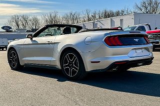 2019 Ford Mustang  1FATP8UH5K5172348 in Mechanicville, NY 5