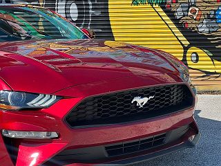 2019 Ford Mustang  1FATP8UH9K5172448 in Orlando, FL 14
