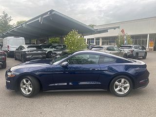 2019 Ford Mustang  1FA6P8TH9K5141182 in Yonkers, NY 3