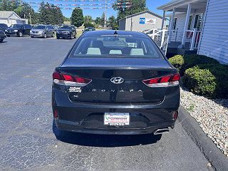 2019 Hyundai Sonata SE 5NPE24AF8KH789885 in Coldwater, MI 4