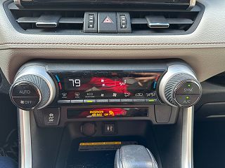 2019 Toyota RAV4 XLE JTMA1RFV9KD007159 in Knoxville, TN 15
