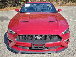 2020 Ford Mustang  1FATP8UH9L5127477 in Vineland, NJ 7