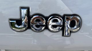 2020 Jeep Cherokee Limited Edition 1C4PJMDN6LD564645 in Royal Oak, MI 29