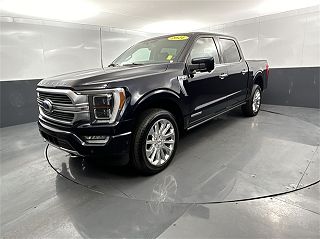2021 Ford F-150 Limited VIN: 1FTFW1ED8MFB59703