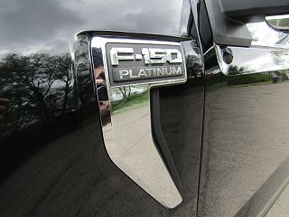2021 Ford F-150 Platinum 1FTFW1E86MFB71111 in Havana, IL 12
