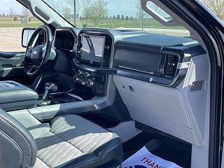 2021 Ford F-150 Limited 1FTFW1ED9MFA60551 in Marshall, MN 11
