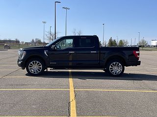 2021 Ford F-150 Limited 1FTFW1ED9MFA60551 in Marshall, MN 18