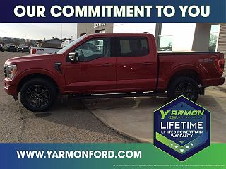 2021 Ford F-150 XLT 1FTFW1E85MFA59397 in Paynesville, MN