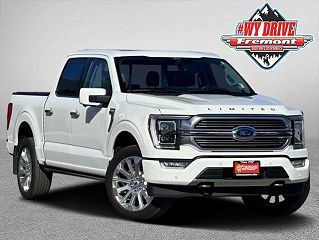 2021 Ford F-150 Limited VIN: 1FTFW1E81MFB73865
