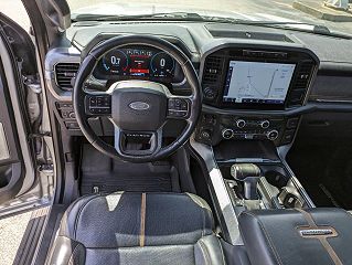 2021 Ford F-150 Platinum 1FTFW1E89MFA20859 in Thomasville, AL 19