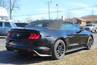 2021 Ford Mustang  1FATP8UH5M5101556 in Benzonia, MI 3