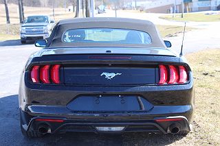 2021 Ford Mustang  1FATP8UH5M5101556 in Benzonia, MI 4