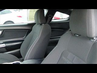 2021 Ford Mustang  1FA6P8TH9M5105768 in Cape Girardeau, MO 15