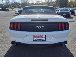 2021 Ford Mustang  1FATP8UH0M5101996 in Lynchburg, VA 12