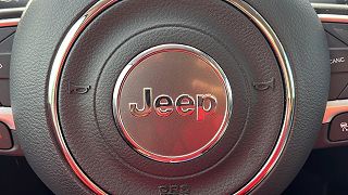 2021 Jeep Compass Limited Edition 3C4NJDCB4MT541584 in Royal Oak, MI 18