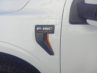 2022 Ford F-150 Tremor 1FTEW1E85NFA59087 in Bremen, GA 40
