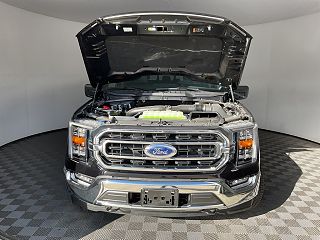 2023 Ford F-150 XLT 1FTFW1E82PFC72747 in Athens, OH 6