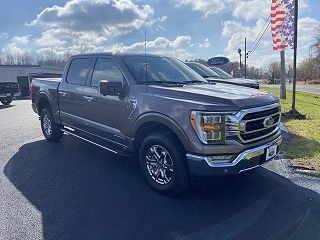 2023 Ford F-150 XLT 1FTFW1EDXPFC21414 in Livermore, KY 2