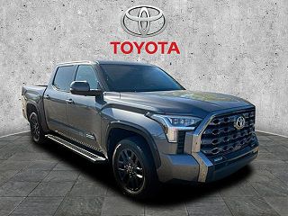 2023 Toyota Tundra Platinum VIN: 5TFNA5DB7PX073007