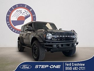 2024 Ford Bronco Wildtrak VIN: 1FMEE2BP9RLA54742
