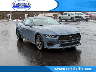2024 Ford Mustang  VIN: 1FA6P8TH9R5105552