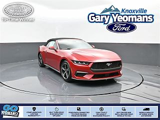 2024 Ford Mustang Base 1FAGP8UH2R5102284 in Knoxville, TN