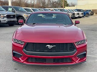 2024 Ford Mustang  1FA6P8TH3R5121830 in Knoxville, TN 2