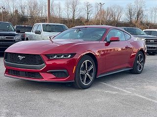 2024 Ford Mustang  1FA6P8TH3R5121830 in Knoxville, TN 3