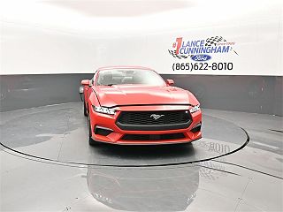 2024 Ford Mustang  1FA6P8TH1R5129862 in Knoxville, TN 2