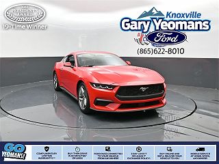 2024 Ford Mustang  1FA6P8TH5R5111459 in Knoxville, TN 1