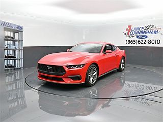 2024 Ford Mustang  1FA6P8TH5R5111459 in Knoxville, TN 3