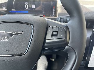 2024 Ford Mustang Mach-E Premium 3FMTK3S52RMA05689 in Chicago, IL 19